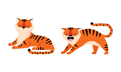 Fototapeta premium Striped Tiger with Orange Fur Sitting and Humping Vector Set