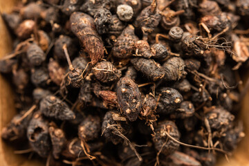 Ayurvedic Nagarmotha - Cyperus Scariosus or Cypriol in a bowl or heap
