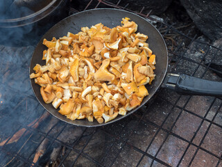 chanterelle mushrooms in a pan
