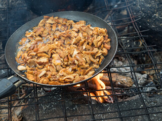 chanterelle mushrooms over a campfire