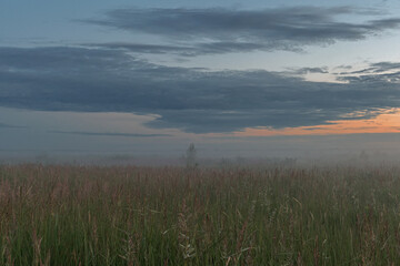 Evening fog in the field, Pskov region, Russia