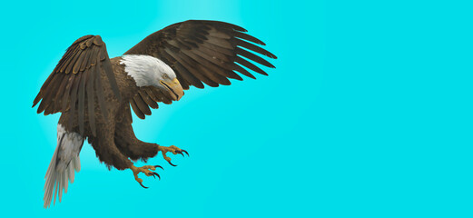 3d illustration of bald eagle on blue background 