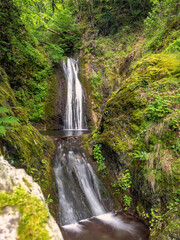 Fototapeta na wymiar taul verde or virgin mary (fecioara maria) waterfall , cerna valley