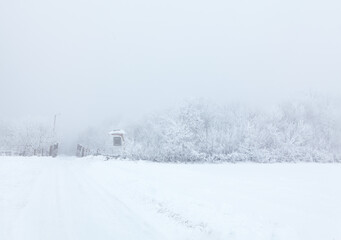 Fototapeta premium Nature reserve in the winter . Forest snowy scenery . Country road in the winter 