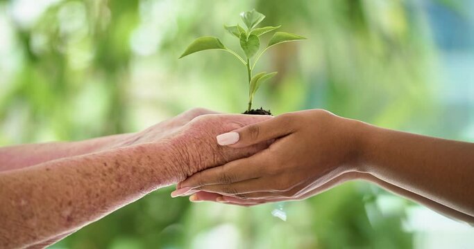 Old hands putting new life into young hands. Caring and support for growth and protection of the environment. Different generations showing care and responsibility towards the earth