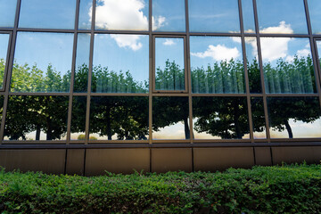 Clean me, green trees, blue sky and white clouds reflected in a run-down, dirty glass facade.