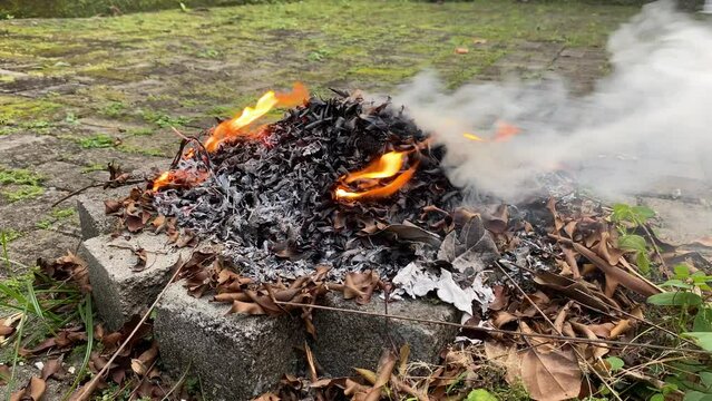 Close up burning leaf leaves in fire pit bonfire with thick white smoke