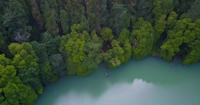 Lagoa do Congro aerial drone view meeting tropical forest. High quality video of a lake in Azores islands