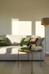 sunny modern apartment, modern living room with light walls, sofa in modern living room, coffee tables near the sofa