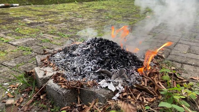 Burning leaf leaves garbage trash in fire pit bonfire