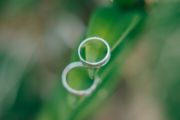 rings on green leaf