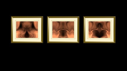 Composition of 3 clasic frames with 3 states of arousal of the female vulva on a black background,