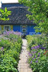 Fußweg durch einen Garten mit Blumenrabatten zu einem traditionel bemalten und reetgedeckten Holzhaus in Norddeutschland