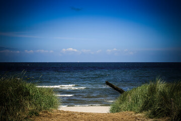 Obraz premium Weg über die Dünen zum Ostseestrand