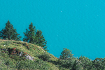 Fototapeta na wymiar Alpine landscape with fir trees and blue lake on background