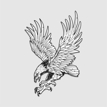 Bald eagle flying swoop line art draw black color on grey background illustration. for t shirt, mug, tote bag, hoodie