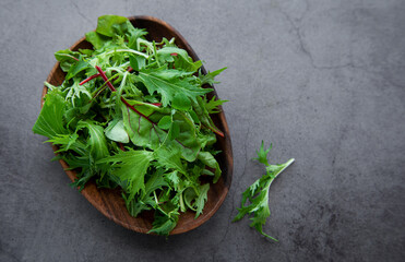 Fototapeta na wymiar Mix of fresh green salad leaves with arugula and beets