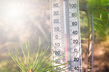 Thermometer on weather shows low temperatures in fahrenheit or celsius with pretty green colors of coniferous tree in spring.