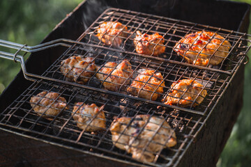 Pieces of fried meat on a grill grate - golden brown