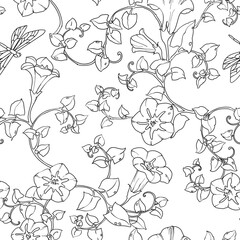 seamless pattern curly bindweed, black and white drawing, vector illustration