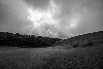 Black and white photo of grassland and overcast sky.
