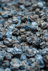 Dried blackthorn. Natural healthy product
