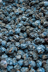 Dried blackthorn. Natural healthy product
