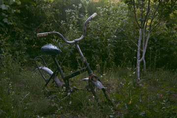 Obraz na płótnie Canvas Vintage garden bicycle without wheels. High quality photo