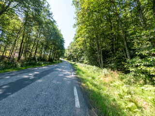 Fototapeta na wymiar Late summer road in Sweden
