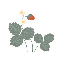 Bush of wild strawberries with flowers, berry, and leaves. Doodle vector illustration.