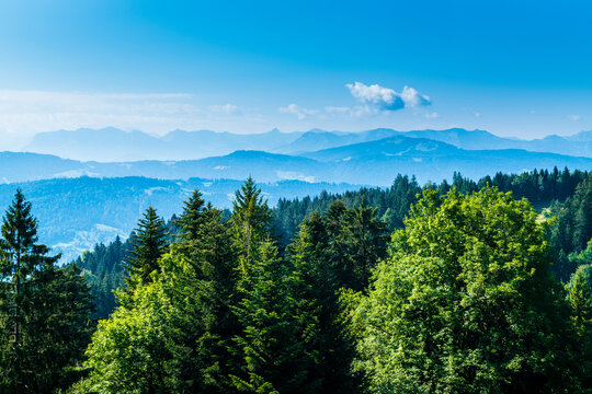 Austria, Panorama view above tree tops, forest nature landscape of mountains in hiking region view from pfaender mountain
