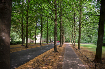 Fototapeta na wymiar Münster, Germany, July 29, 2022: footpath and bicycle path between four rows of trees on the city's promenade around the historic center