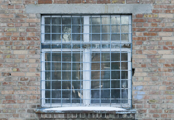 Window with metal bars in a brick building