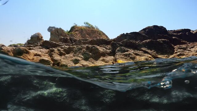 Small fish swim near the rock