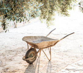 Old cart under an olive tree at sunset