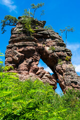 Schillerfelsen bei Dahn