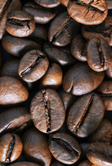 Roasted coffee beans background. Top view. Roasted coffee beans, can be used as a background. A coffee mug of coffee beans