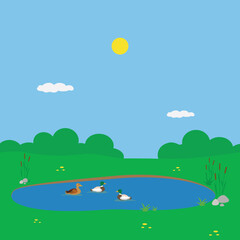 Small pond with ducks on a sunny day