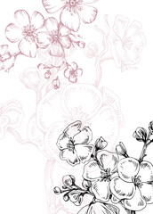 Sakura Abstract Hand Painted Illustrations for Wall Decoration, Postcard, Social Media Banner, Brochure Cover Design Background. Modern Abstract Painting Artwork. Vector Pattern