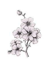 Sakura Abstract Hand Painted Illustrations for Wall Decoration, Postcard, Social Media Banner, Brochure Cover Design Background. Modern Abstract Painting Artwork. Vector Pattern