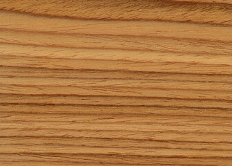 Background with wood texture. Wooden surface close up.