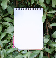 blank sheet of paper on the background