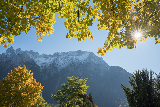 view through autumnal branches of maple tree to Karwendel mountain, Mittenwald