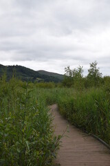 the gangway at the Dyfi osprey project in wales