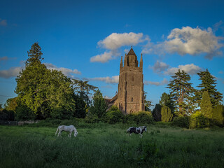 Paddock with horses in front of church