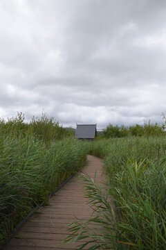 The Gangway At The Dyfi Osprey Project In Wales