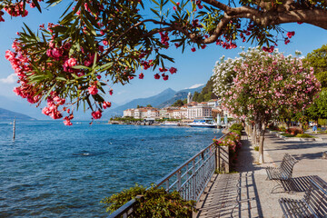 Lake Como, town Bellagio, Italy. Fascinating scenery of coastal town in famous and popular luxury summer resort. Boat ferry in the distance.