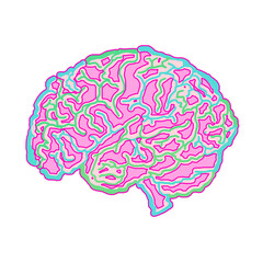 Illustration of a colorful human brain on a white background.