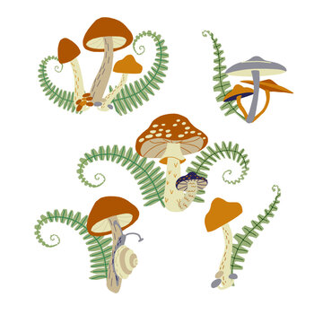 Magic mushrooms and ferns forest decorative compositions set in natural colors. Сhanterelle, agaric, death cap. Autumn forest. Hand drawn vector illustration