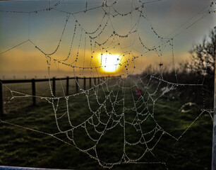 Cobwebs in gateway with sun in background 